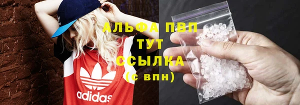 стафф Арсеньев
