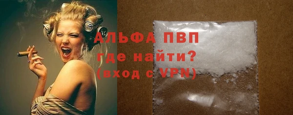 стафф Арсеньев