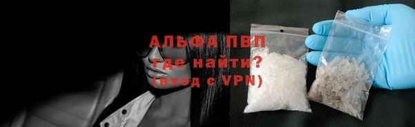 стафф Арсеньев