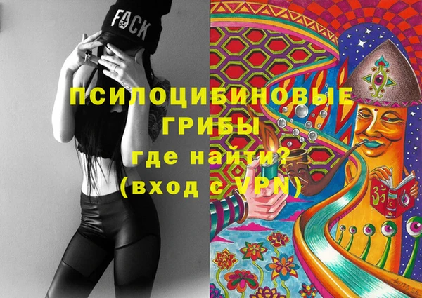 стафф Арсеньев