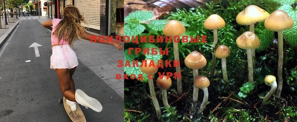 стафф Арсеньев