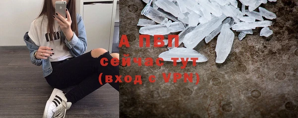 стафф Арсеньев