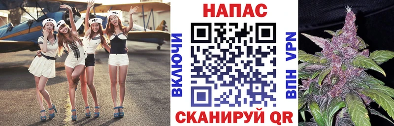 Шишки марихуана конопля  магазин продажи наркотиков  MEGA tor  Ростов 